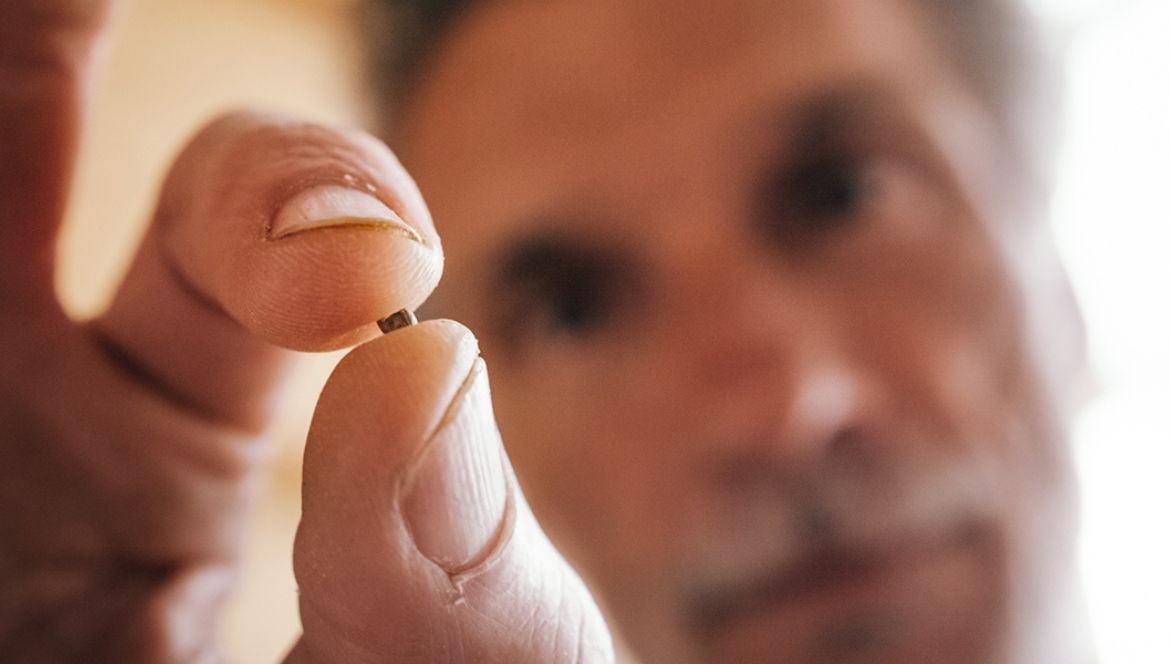 La Graine de Chanvre et le Sommeil 